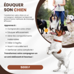 DRESSAGE DE CHIEN