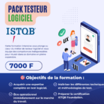 testeur logiciel