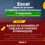 Bases de données et Tableaux Croisés Dynamiques